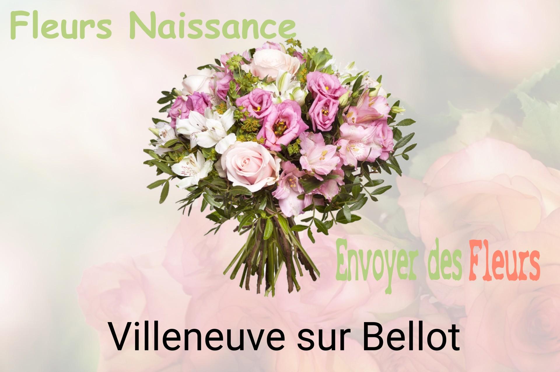 Bouquet de fleurs de naissance livré à Villeneuve-sur-Bellot
