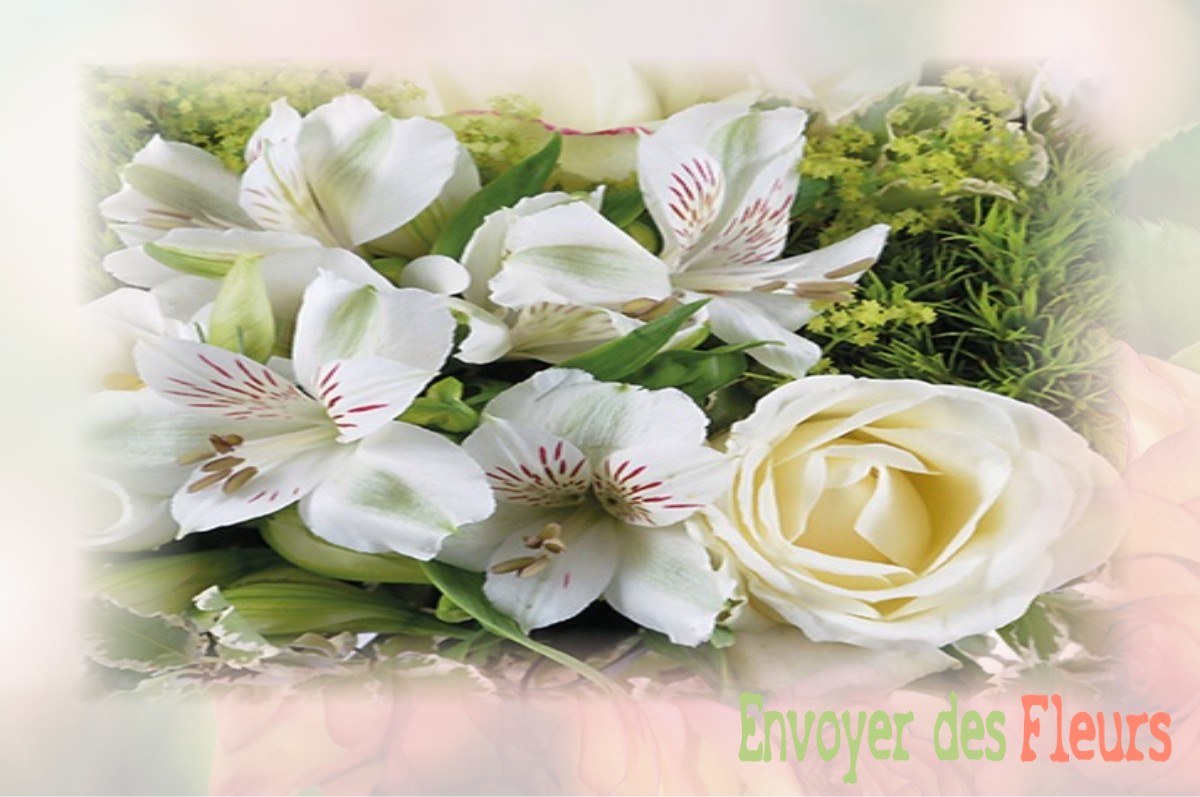 envoyer des fleurs à à VILLENEUVE-SUR-BELLOT
