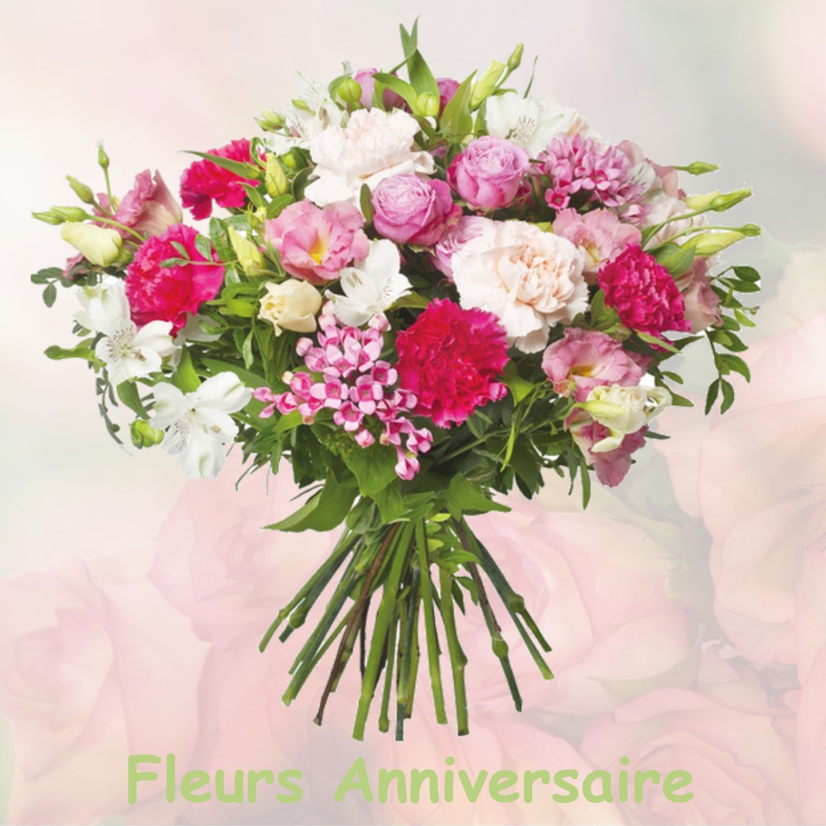 fleurs anniversaire VILLENEUVE-SUR-BELLOT